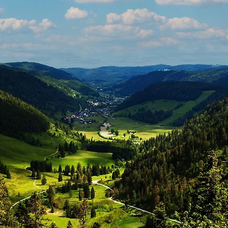 Black Forest Luxury Apartment Baerenhoehle Mit Sauna Schluchsee Exterior photo