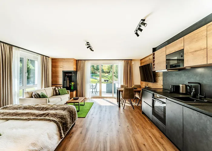 Black Forest Luxury Apartment Baerenhoehle Mit Sauna