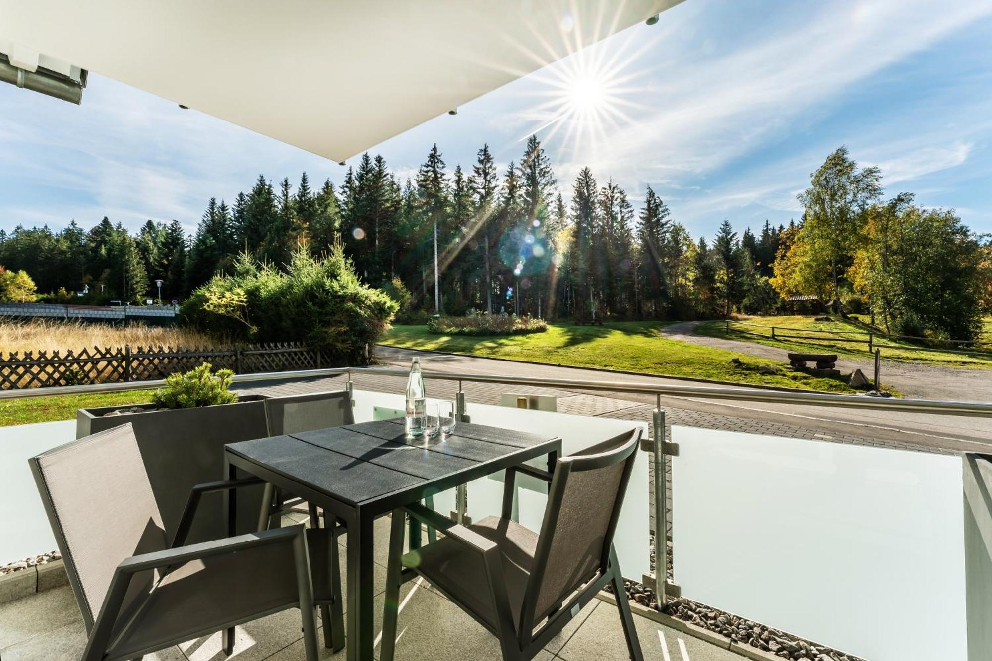 Apartment Black Forest Luxury Baerenhoehle Mit Sauna Schluchsee