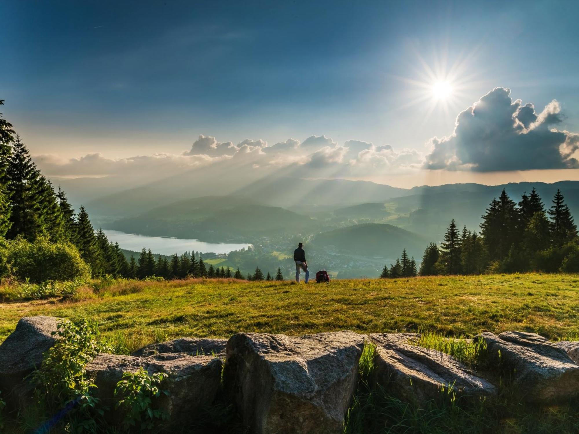 Black Forest Luxury Baerenhoehle Mit Sauna Apartment Schluchsee