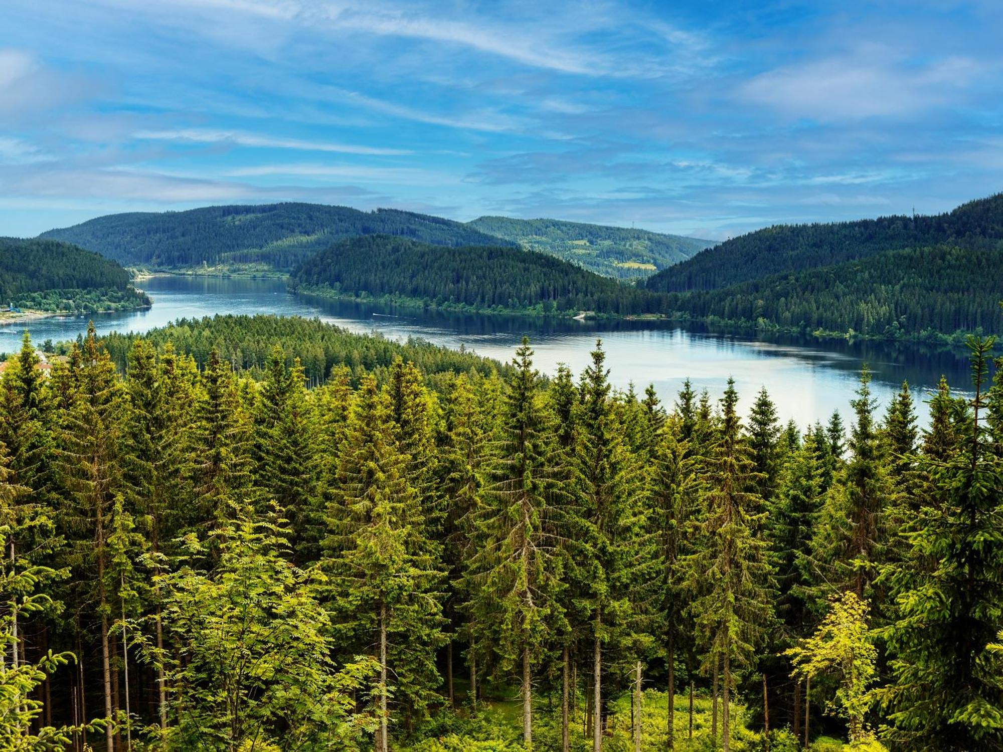 Black Forest Luxury Baerenhoehle Mit Sauna