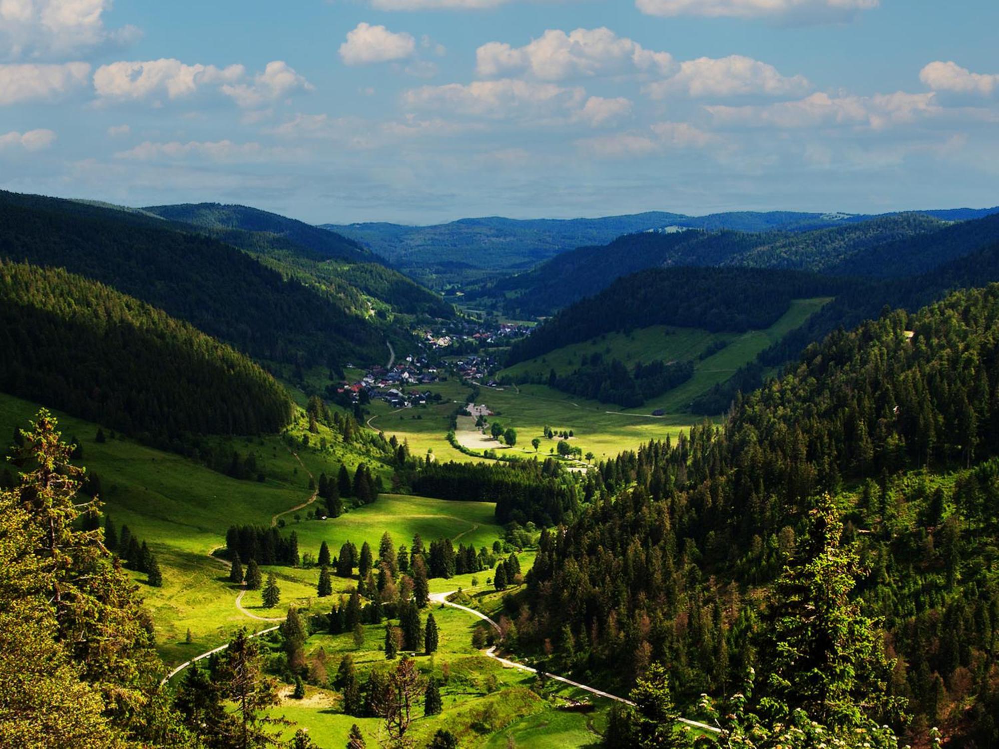 Black Forest Luxury Baerenhoehle Mit Sauna * Schluchsee