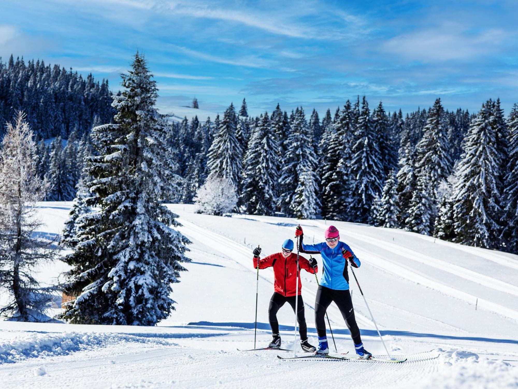 Black Forest Luxury Baerenhoehle Mit Sauna Apartment Schluchsee