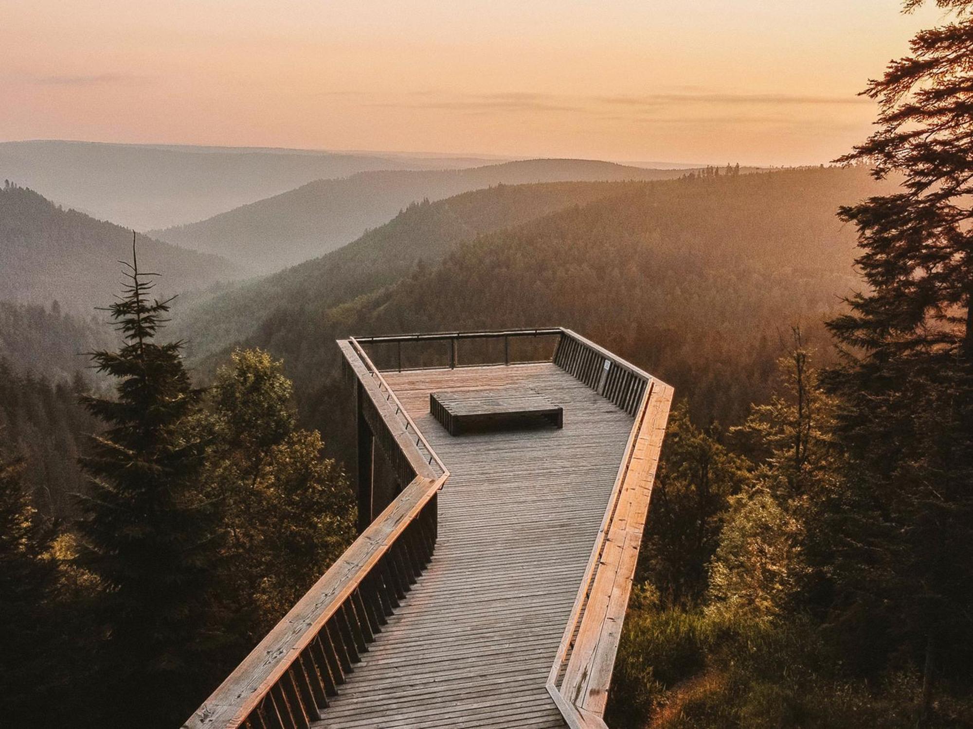 Black Forest Luxury Baerenhoehle Mit Sauna *