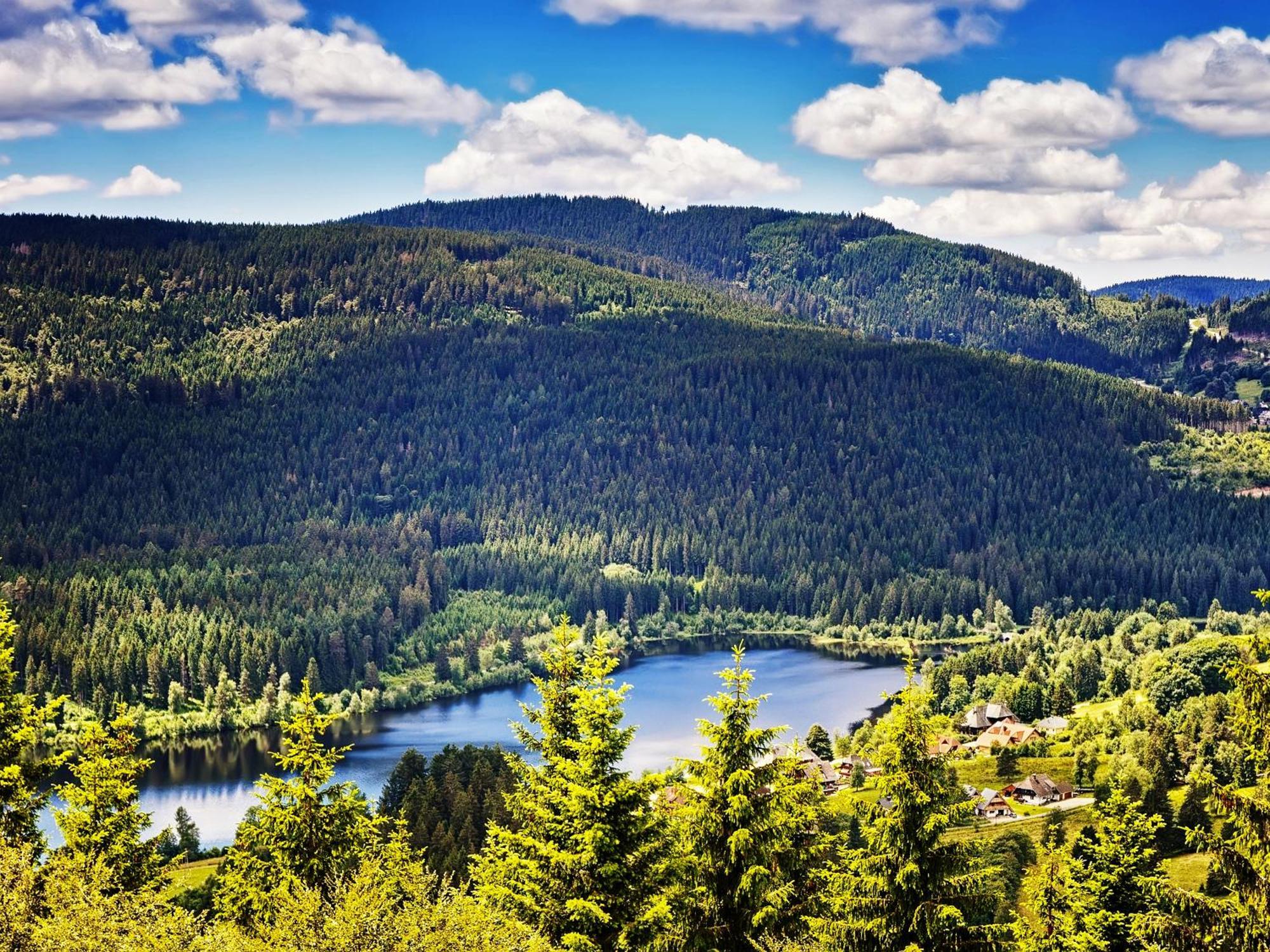 Black Forest Luxury Baerenhoehle Mit Sauna * Schluchsee